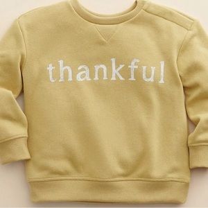 LC Little Co Thankful Pullover Sweatshirt Laura Conrad 6M, 18M, 24M